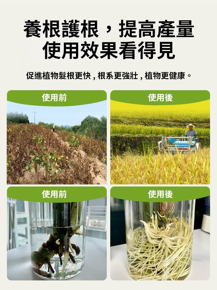 【植物起死回生】生根壯根顆粒