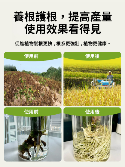 【植物起死回生】生根壯根顆粒