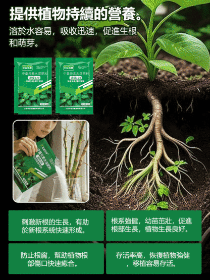 四季常青強生根壯苗肥