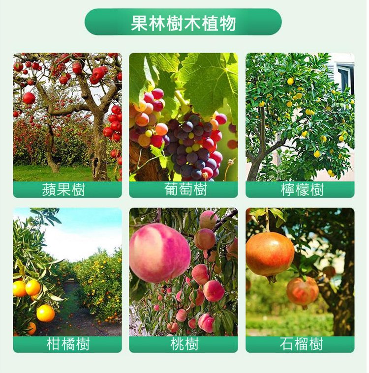 大树复活营养液_12.jpg