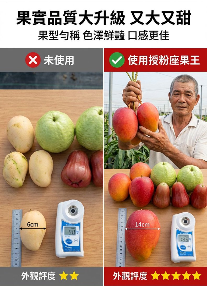 翻译件-SL-授粉座果王-1348259-系统_14.jpg