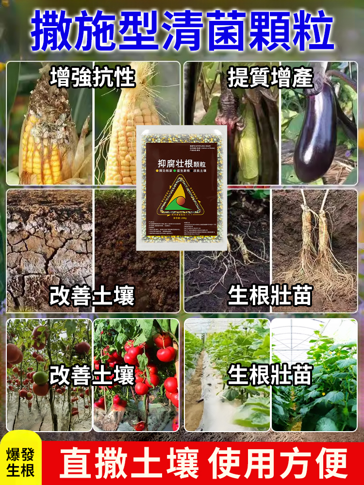 【植物起死回生】生根壯根顆粒