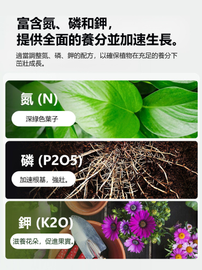 四季常青強生根壯苗肥