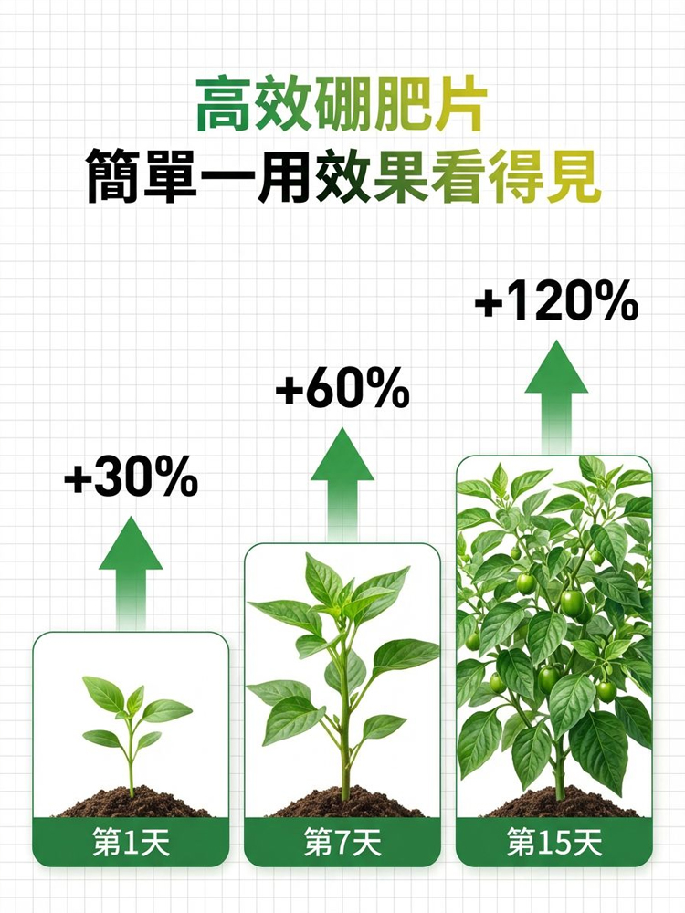 【肥效/防護二合一】懶人植保神器硼肥片