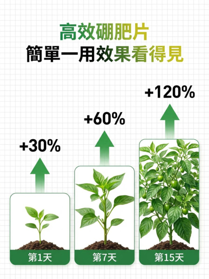 【肥效/防護二合一】懶人植保神器硼肥片