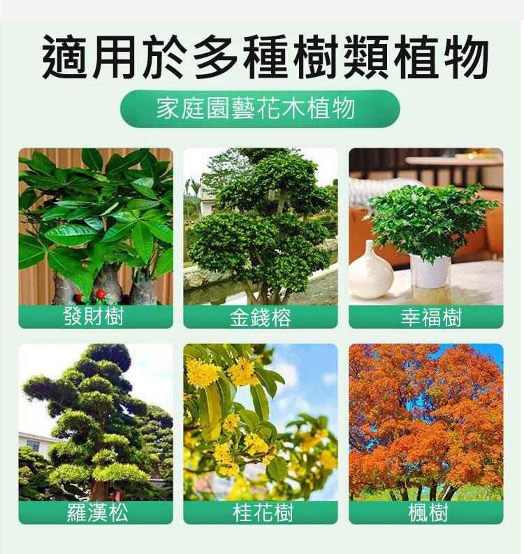 大树复活营养液_11.jpg