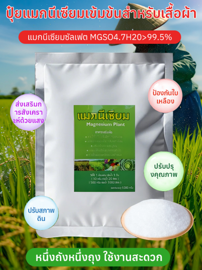 ใบไม้เหลืองกลับเขียว รักษาใบไม้เขียวด้วยการเติมปุ๋ยแมกนีเซียมอย่างรวดเร็ว