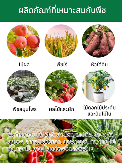 ใบไม้เหลืองกลับเขียว รักษาใบไม้เขียวด้วยการเติมปุ๋ยแมกนีเซียมอย่างรวดเร็ว