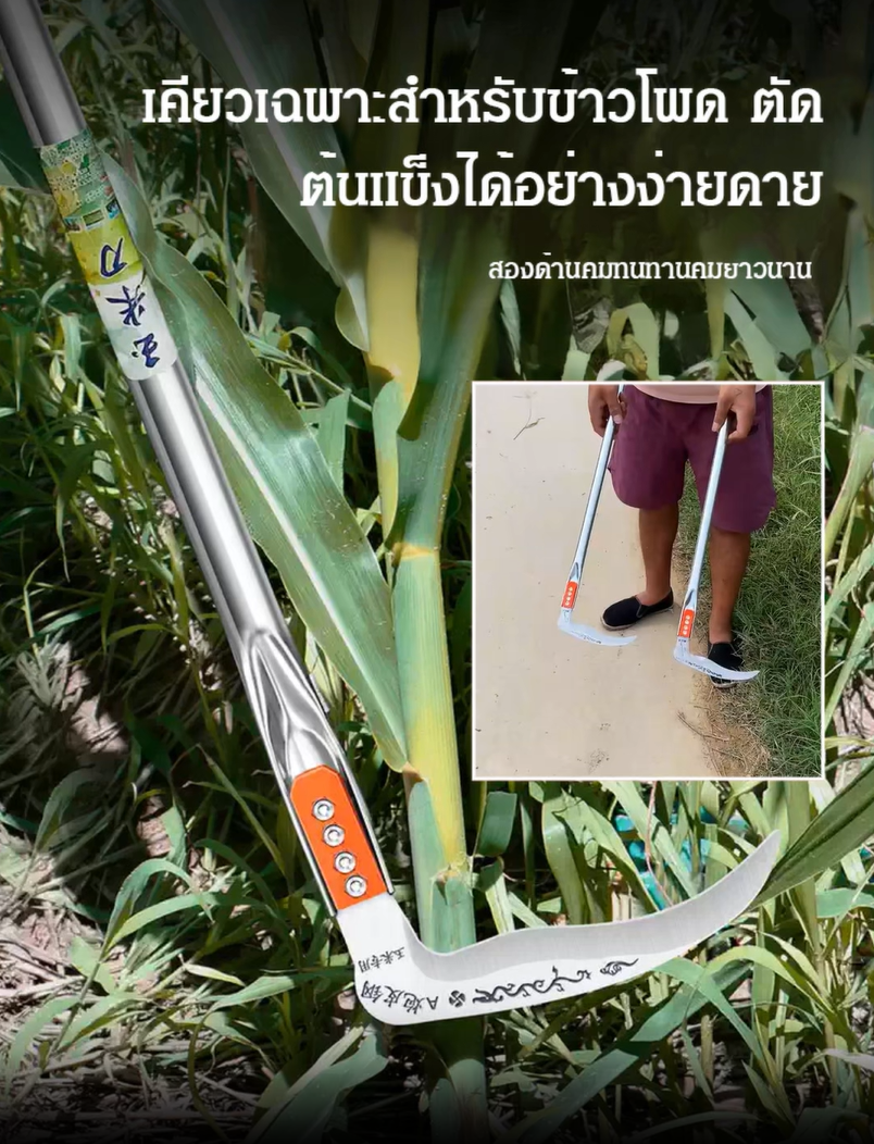 มีดตัดสวนเหล็กแมงกานีสคม