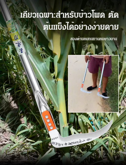 มีดตัดสวนเหล็กแมงกานีสคม