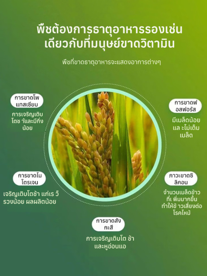 ใบไม้เหลืองกลับเขียว รักษาใบไม้เขียวด้วยการเติมปุ๋ยแมกนีเซียมอย่างรวดเร็ว