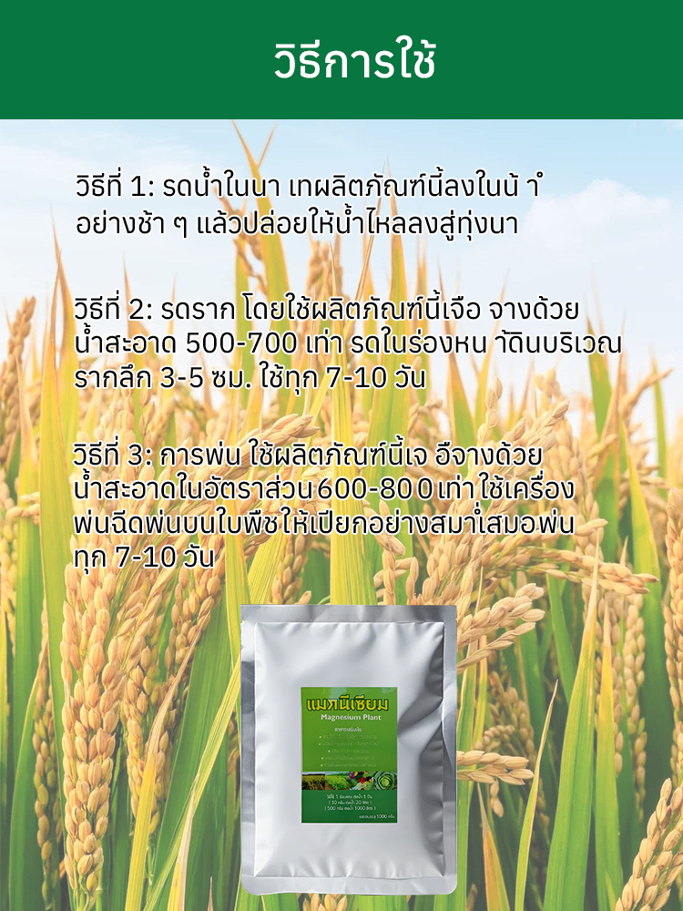 ใบไม้เหลืองกลับเขียว รักษาใบไม้เขียวด้วยการเติมปุ๋ยแมกนีเซียมอย่างรวดเร็ว