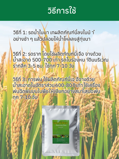 ใบไม้เหลืองกลับเขียว รักษาใบไม้เขียวด้วยการเติมปุ๋ยแมกนีเซียมอย่างรวดเร็ว