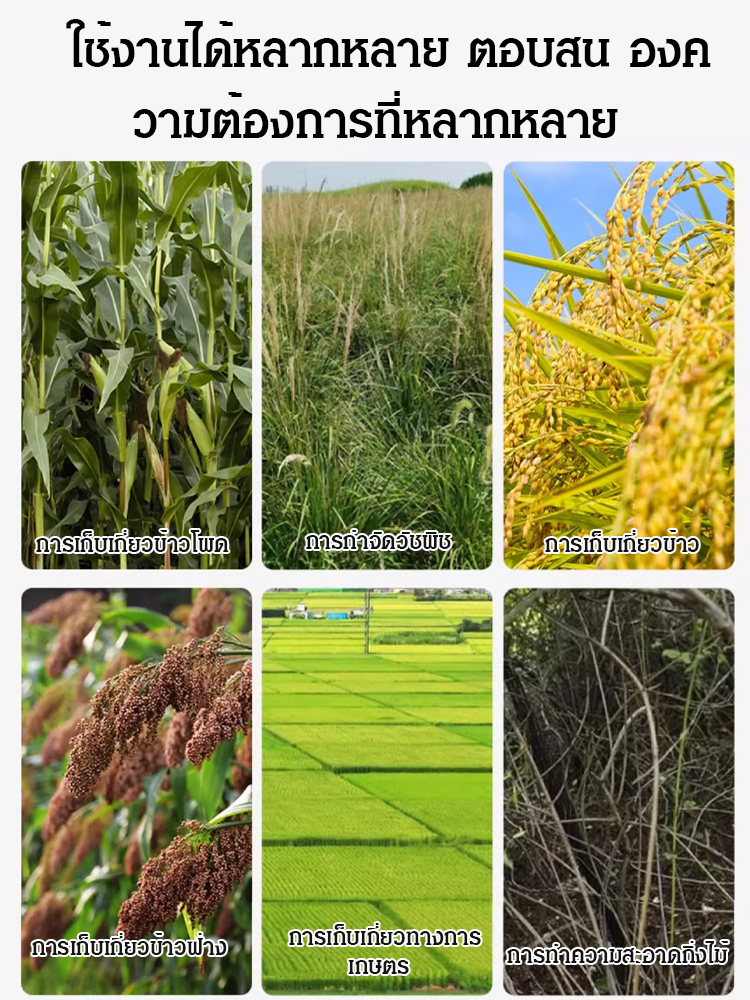 มีดตัดสวนเหล็กแมงกานีสคม