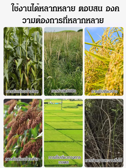 มีดตัดสวนเหล็กแมงกานีสคม