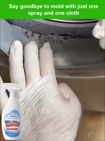 Wall anti-mildew and spot removal spray