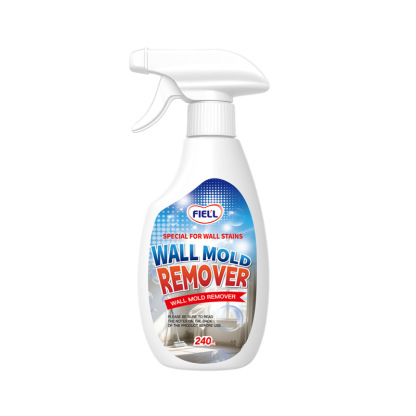 Wall anti-mildew and spot removal spray