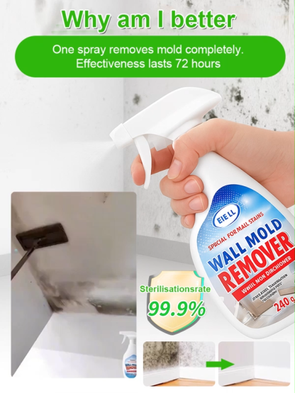 Wall anti-mildew and spot removal spray