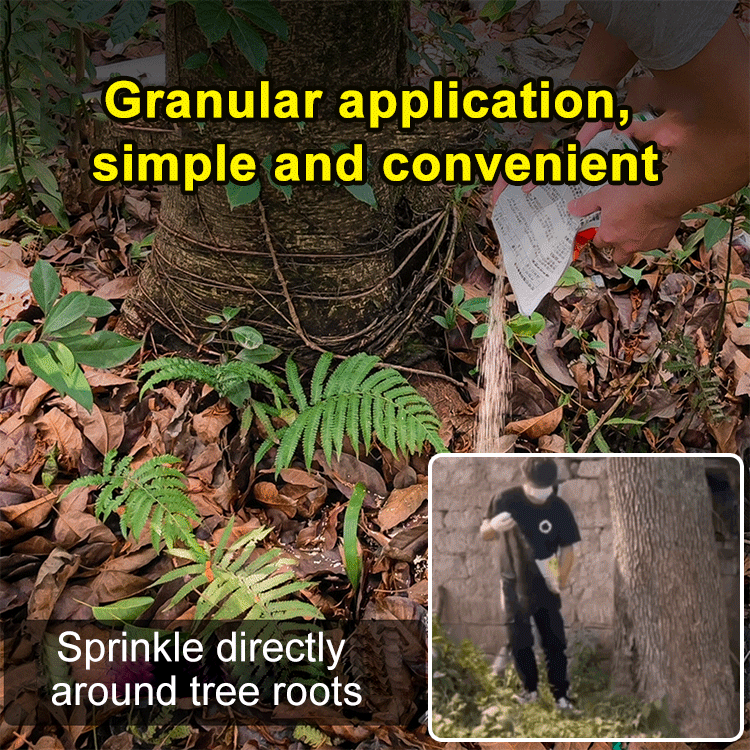 Hexazinone bamboo and root removal granules