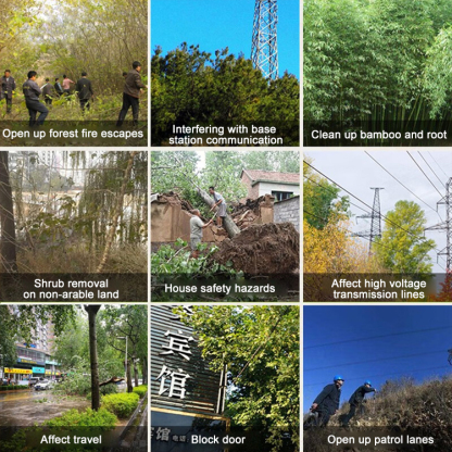 Hexazinone bamboo and root removal granules