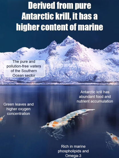 [Upgraded high-efficiency version] Antarctic krill oil