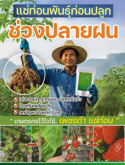🌱 สารเร่งการเจริญเติบโตของพืชอเนกประสงค์แบบออร์แกนิค | ส่งเสริมการพัฒนาของรากและปรับปรุงสุขภาพดิน 🔬