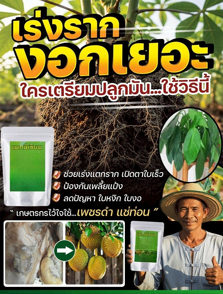 🌱 สารเร่งการเจริญเติบโตของพืชอเนกประสงค์แบบออร์แกนิค | ส่งเสริมการพัฒนาของรากและปรับปรุงสุขภาพดิน 🔬