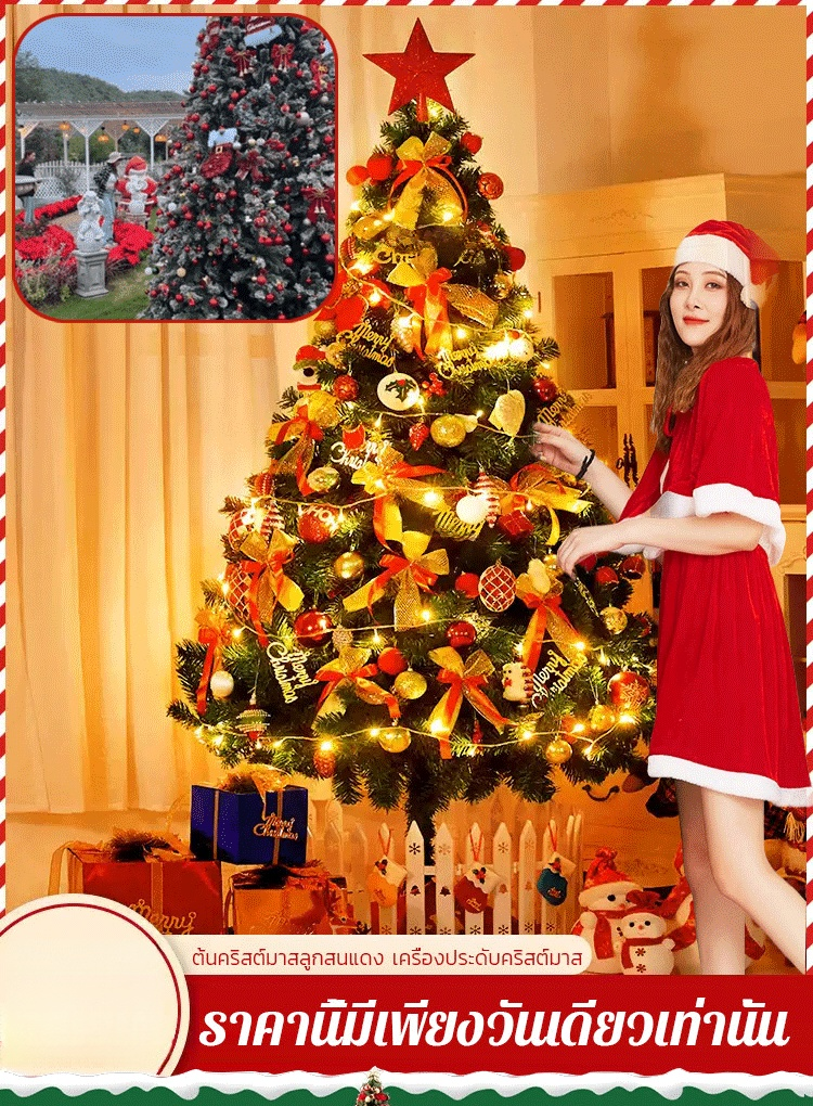 ต้นคริสต์มาสลูกสนแดง เครื่องประดับคริสต์มาส