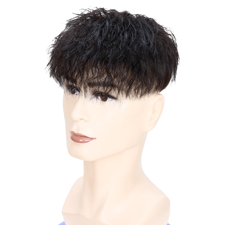 วิกผมแท้ 100% สำหรับผู้ชาย ทรงดัดฟอยล์ (Tin Foil Perm) สระ ไดร์หนีบ เซ็ตทรงได้ ดูเป็นธรรมชาติ ไม่โป๊ะ