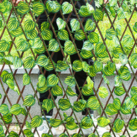 X20081303Y-Rozkładany pawilon imitujący ogrodzenie.