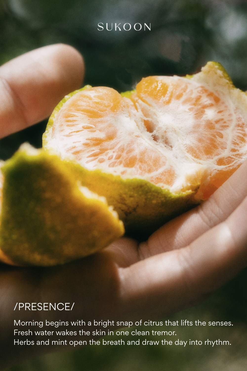 Presence Essential Oil Body Wash