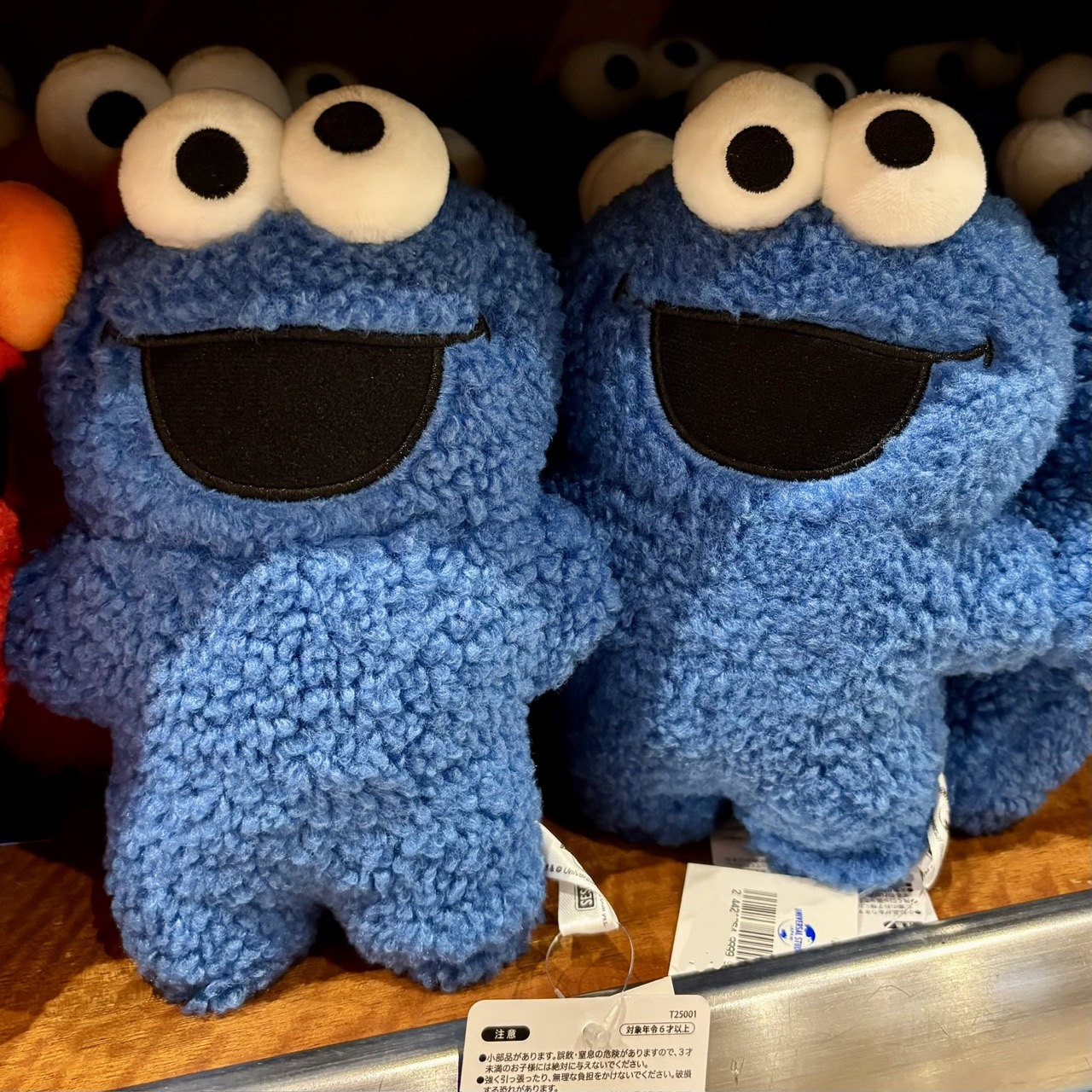 【訂貨】USJ Sesame Street 芝麻街 扁胖小可愛公仔 玩偶 - Cookie Monster