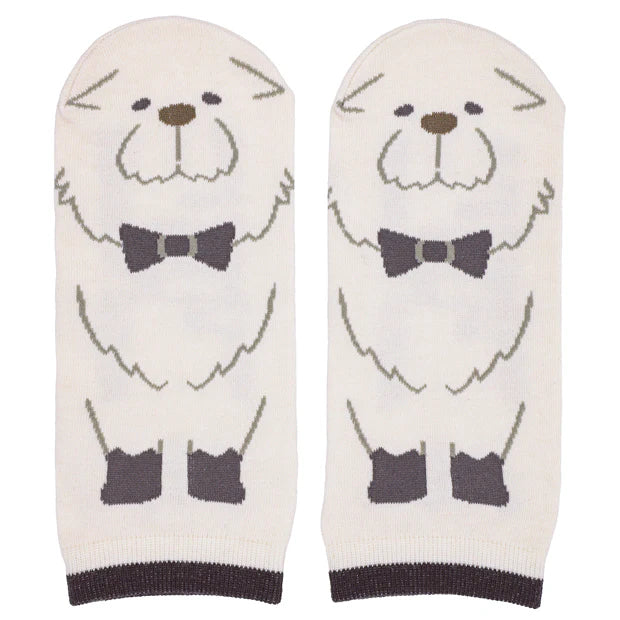 USJ SPYXFAMILY 2025 成人襪套裝（3對）