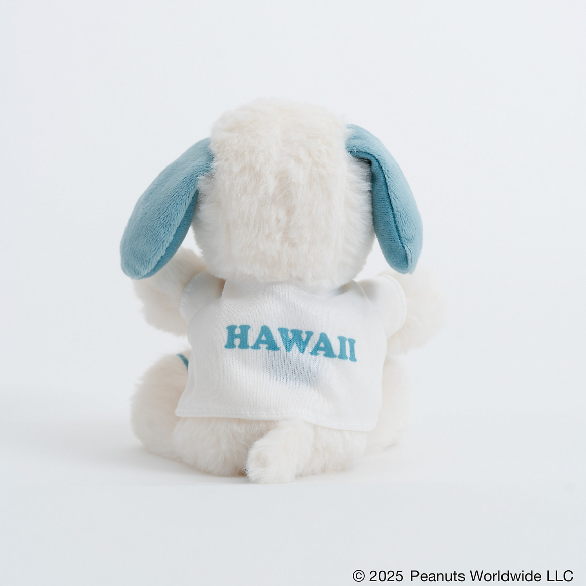 SNOOPY’S SURF SHOP Joe Surfer 公仔