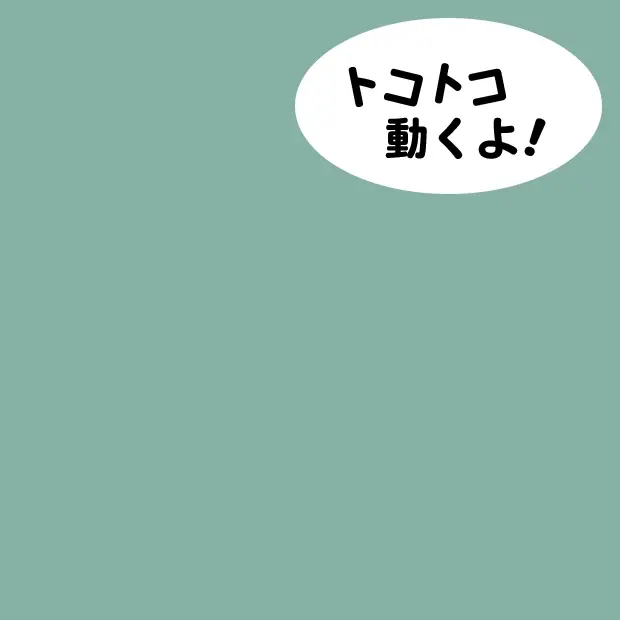 USJ SPYXFAMILY 2025 彭德狗狗公仔