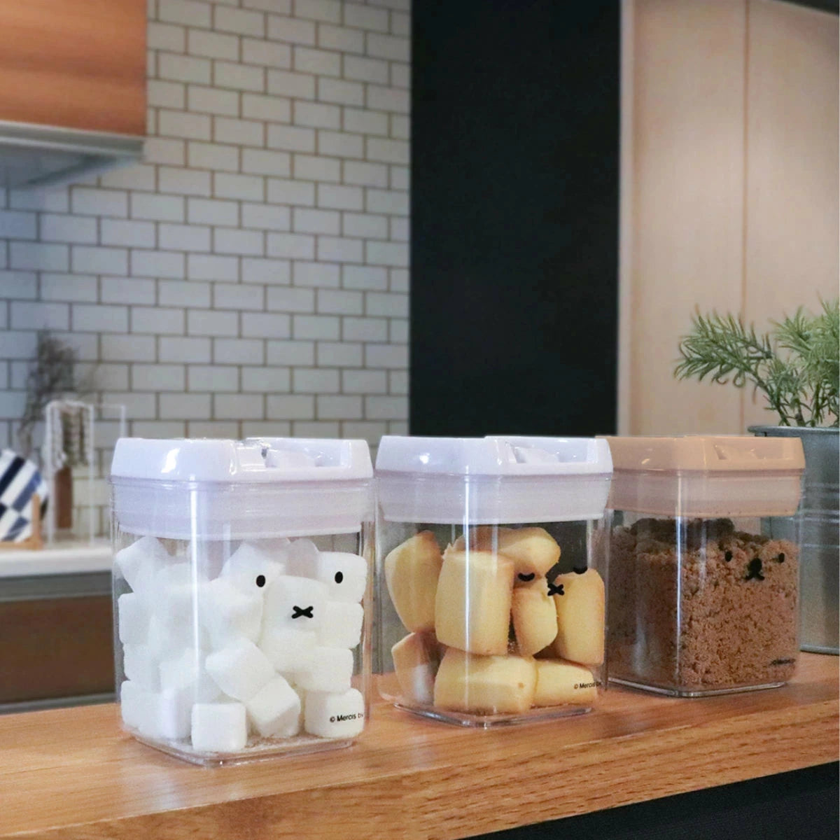 Miffy & Boris 密封保鮮罐 食品收納罐 保存容器