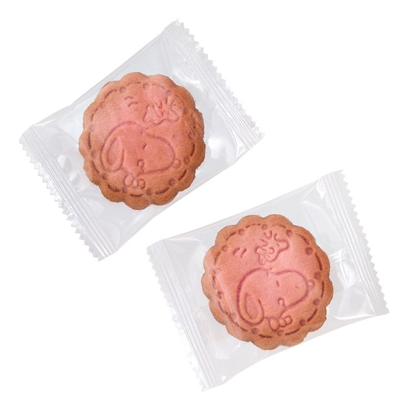 【訂貨】Snoopy 聖誕曲奇盒 - 兩款可選