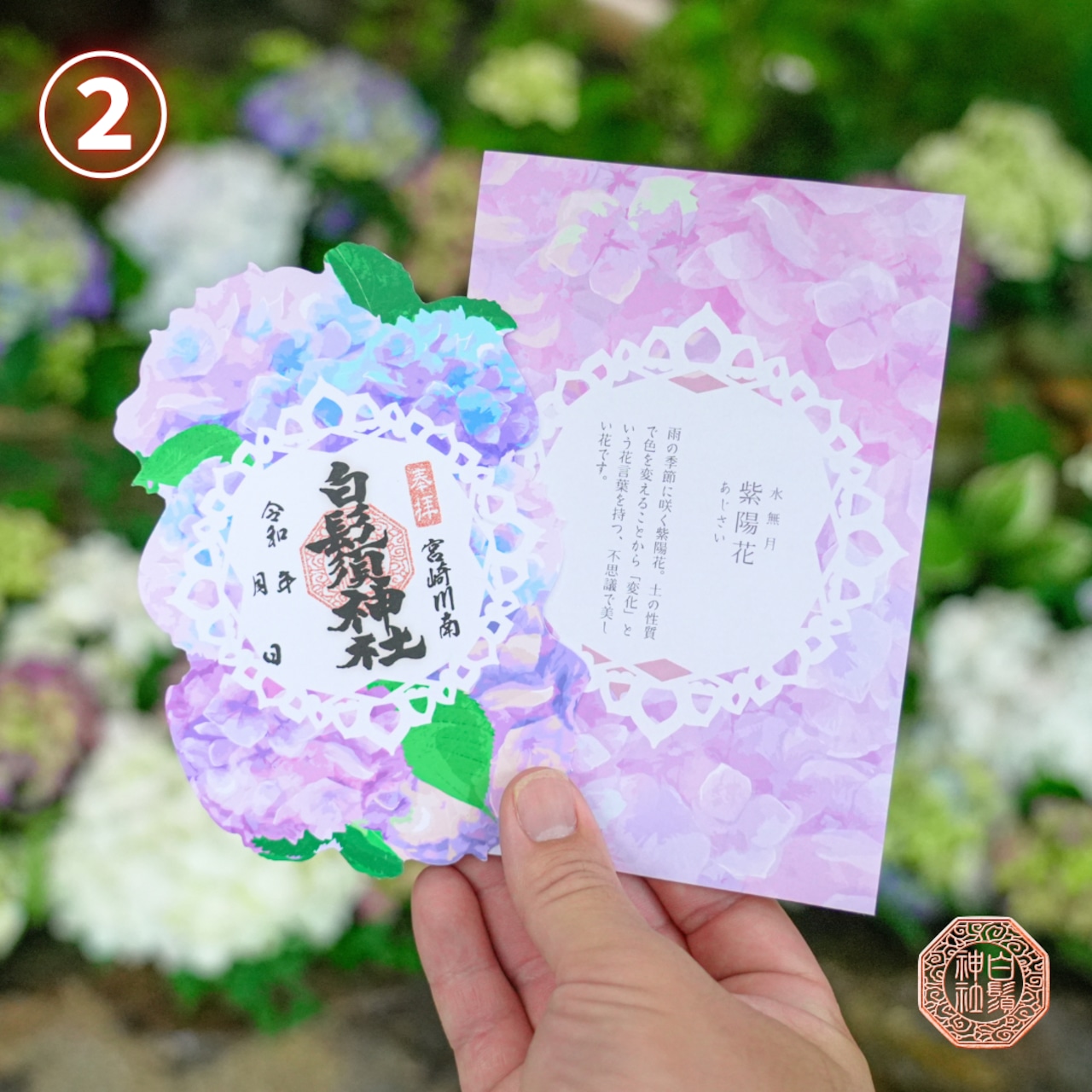 【訂貨｜7月】白鬚神社御朱印 - 紫陽花｜6月13日截數