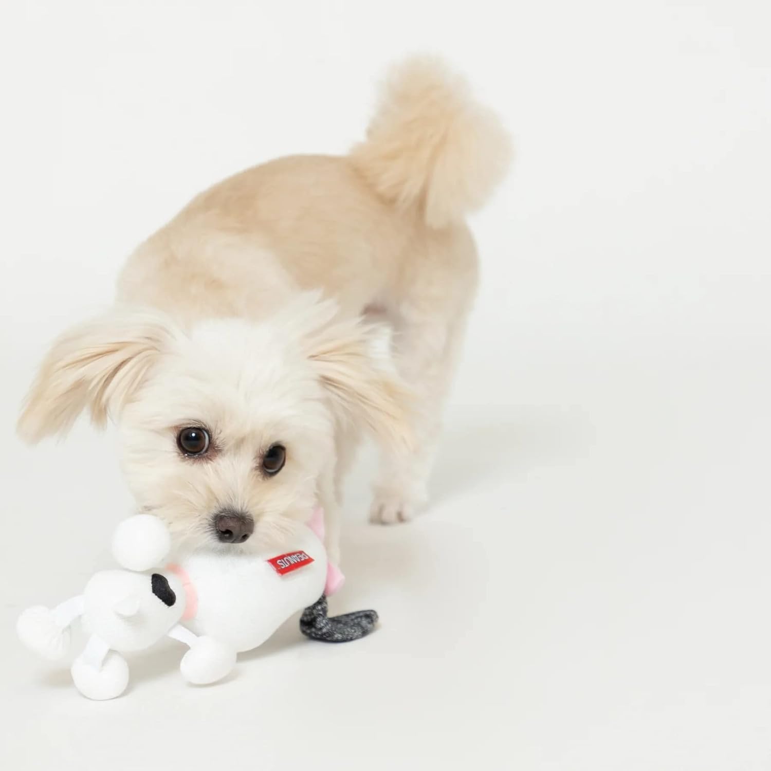 【訂貨】Peanuts 針織發聲公仔 寵物玩具（Snoopy / Belle / Olaf）