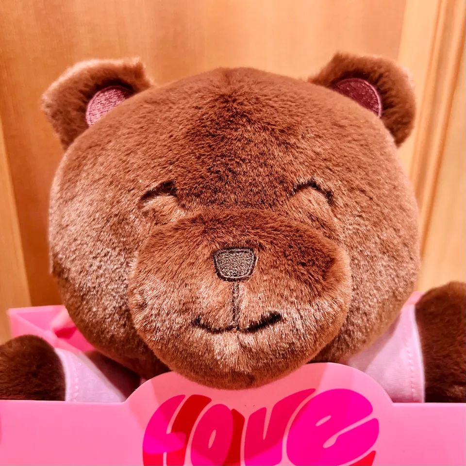 【預訂｜2月】Kitkat x Afternoon Tea Heartful Bear 情人節限定小熊系列 - 禮物袋小熊公仔