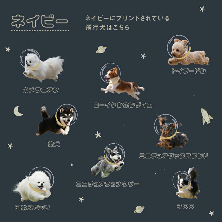 飛行犬×Wpc. 狗狗晴雨兩用傘 遮光傘 縮骨遮 折傘 摺曡傘