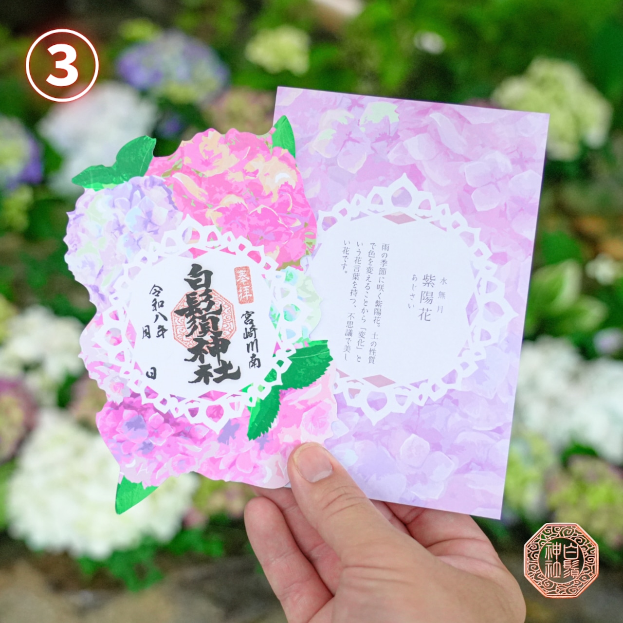 【訂貨｜7月】白鬚神社御朱印 - 紫陽花｜6月13日截數