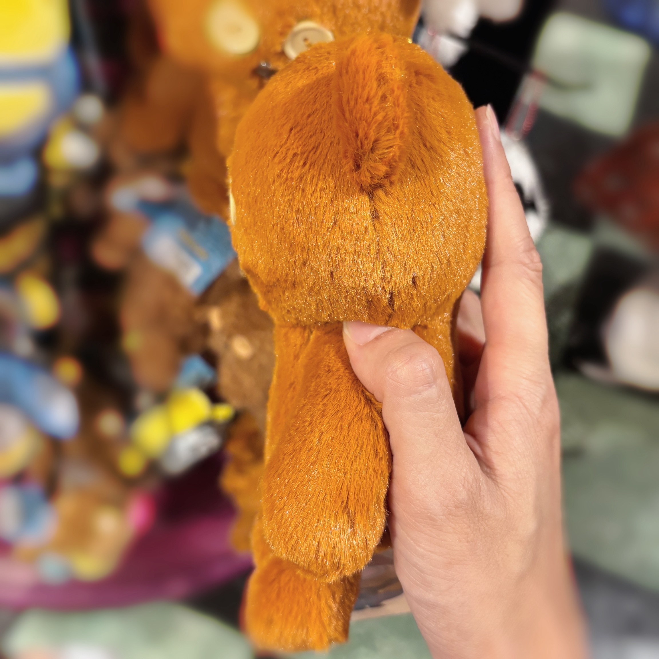 【訂貨】USJ Tim Bear 公仔掛飾 M Size - 直毛款