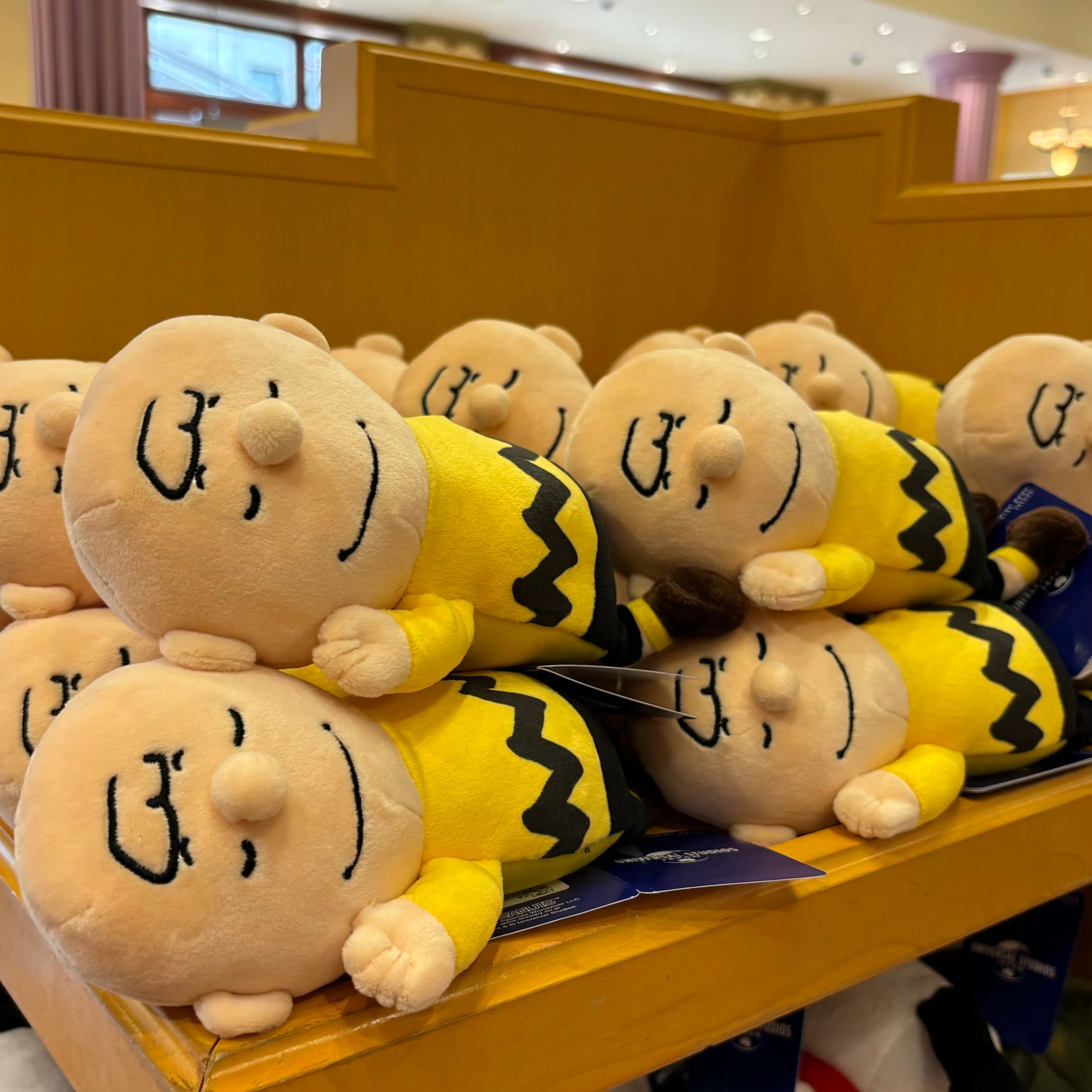 USJ Charlie Brown Wrist Rest 手腕墊 手枕