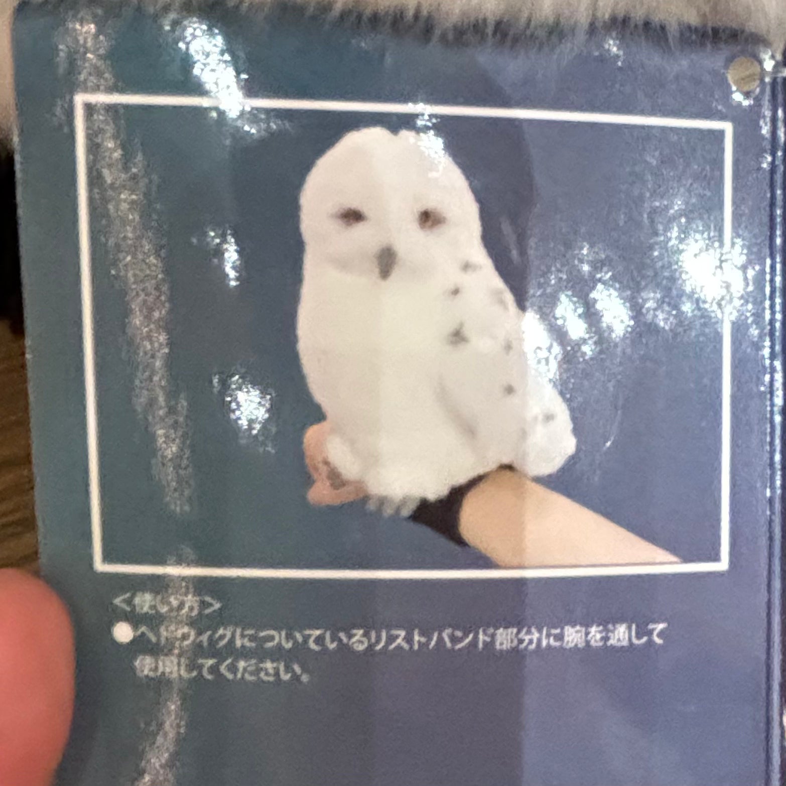 USJ 哈利波特 貓頭鷹手腕公仔