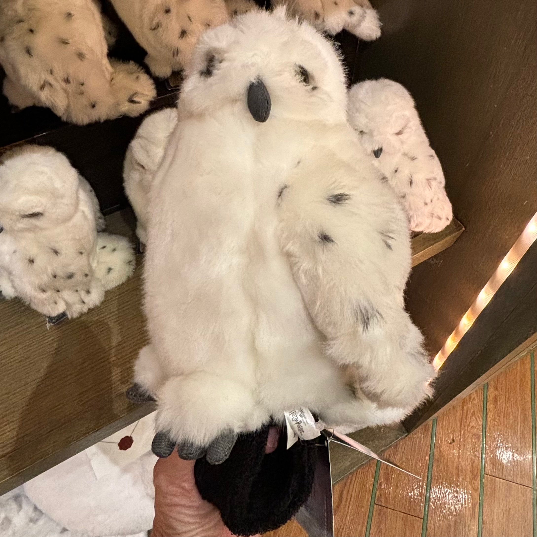 USJ 哈利波特 貓頭鷹手腕公仔