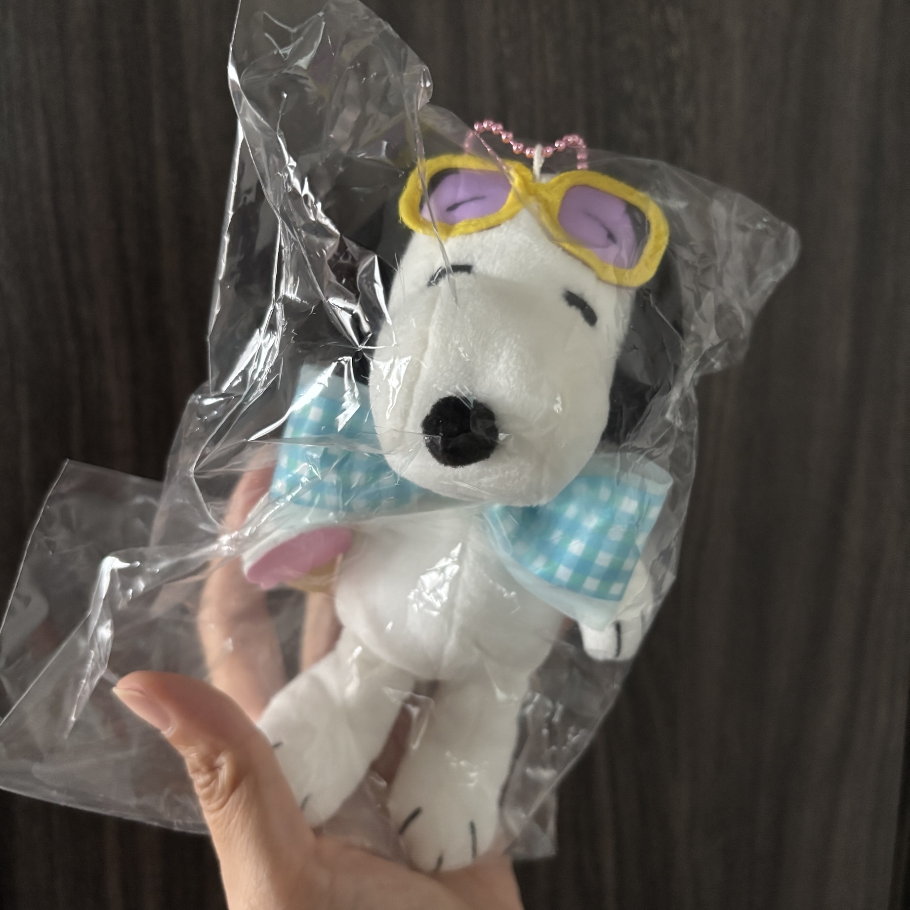 【訂貨】Umeda Snoopy Fest. 2026 阪急展限定 - Snoopy & Woodstock 蝴蝶結 太陽眼鏡 公仔掛飾 