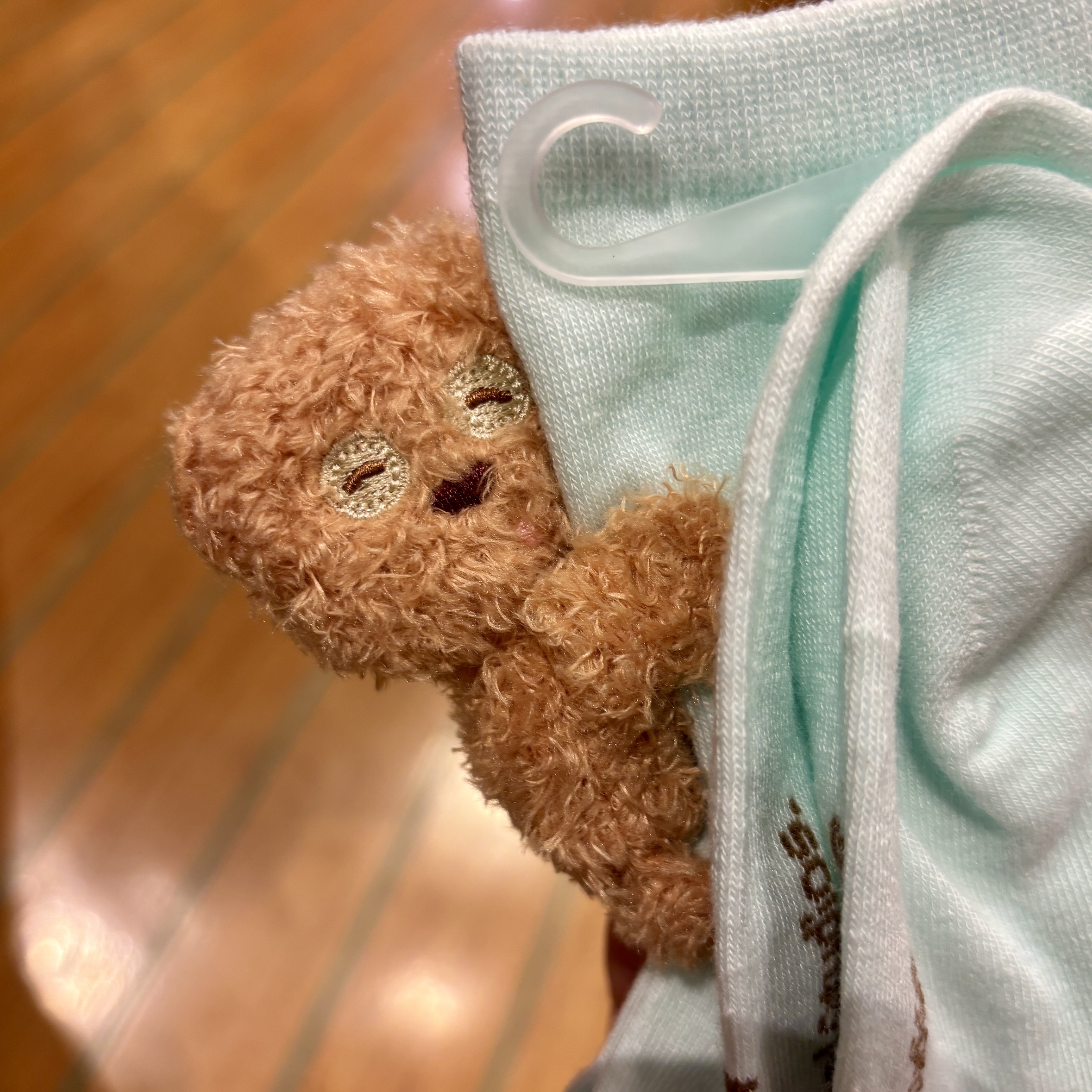【訂貨】USJ Tim Bear 立體公仔襪