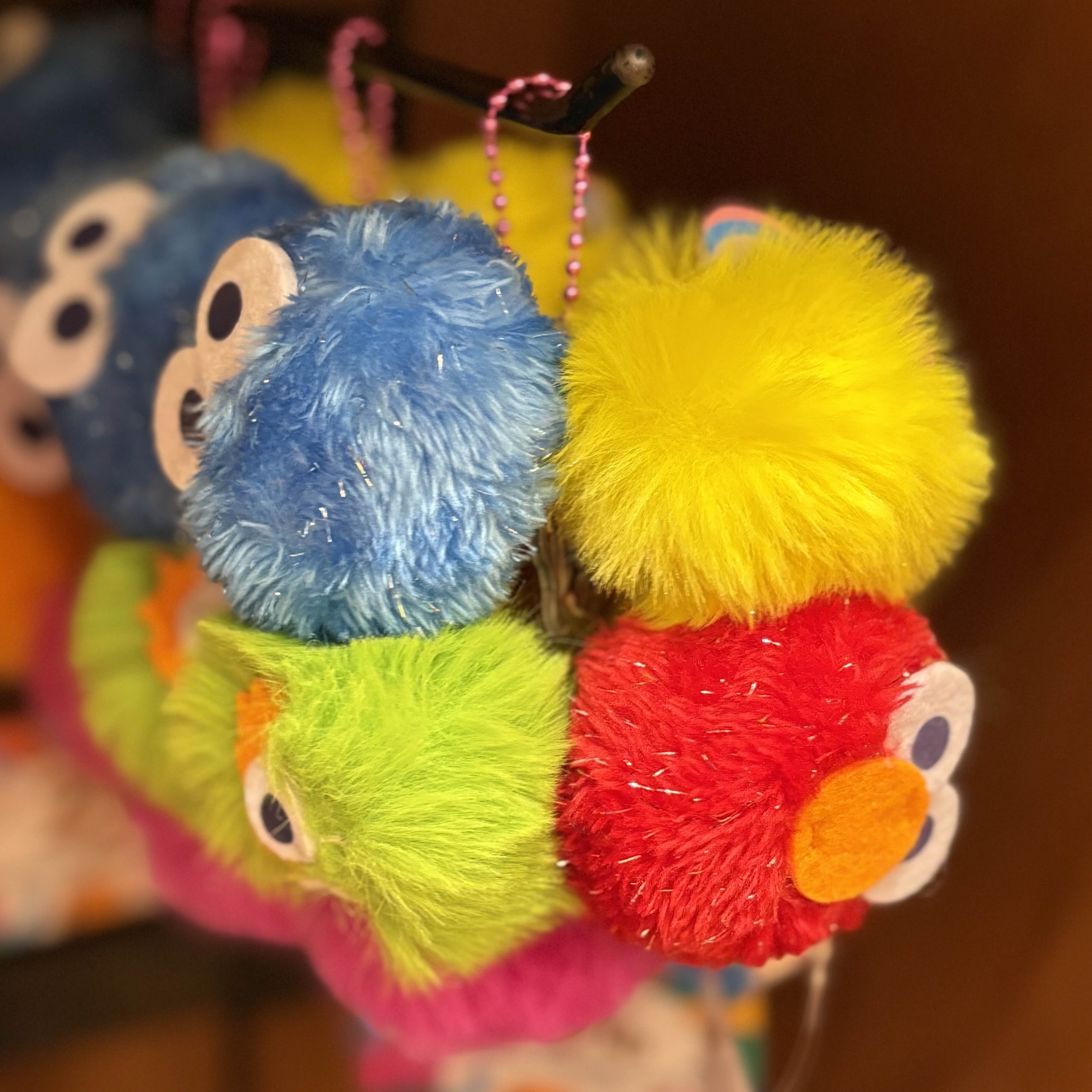 【訂貨】USJ 25th Discover U 週年紀念系列 - Sesame Street 芝麻街 毛毛球手環
