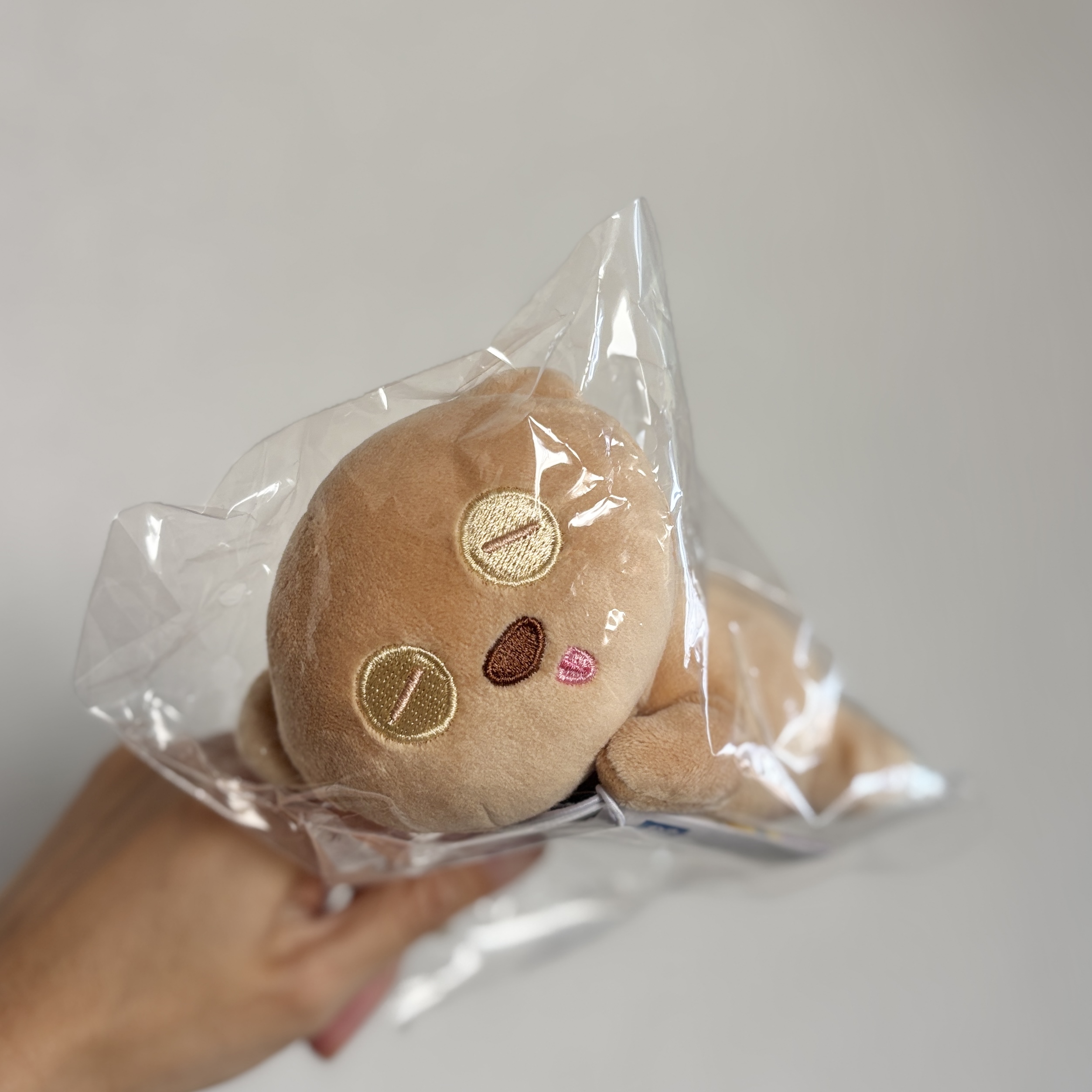 【現貨】Minions 迷你兵團 小小兵 Suya Suya Friend 睡覺公仔掛飾 - Tim Bear